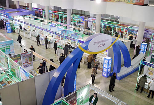 고려약발전을 추동한 전시회