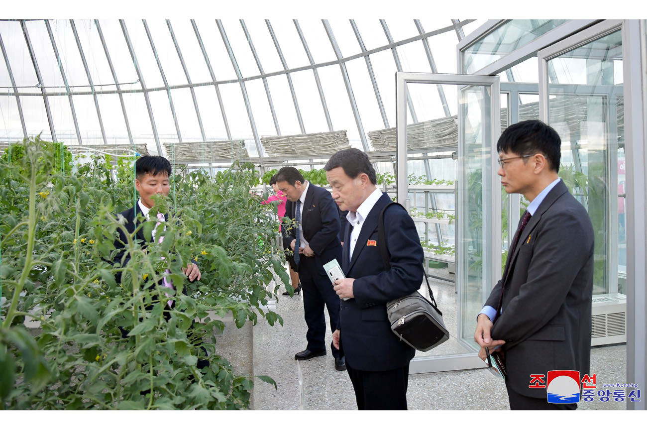 Delegation of Korean social scientists in Japan tours different places