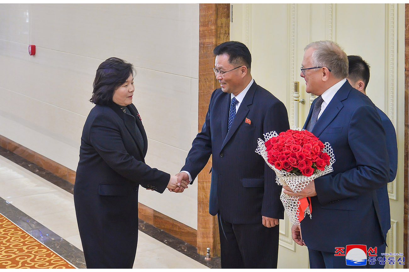 DPRK FM back home