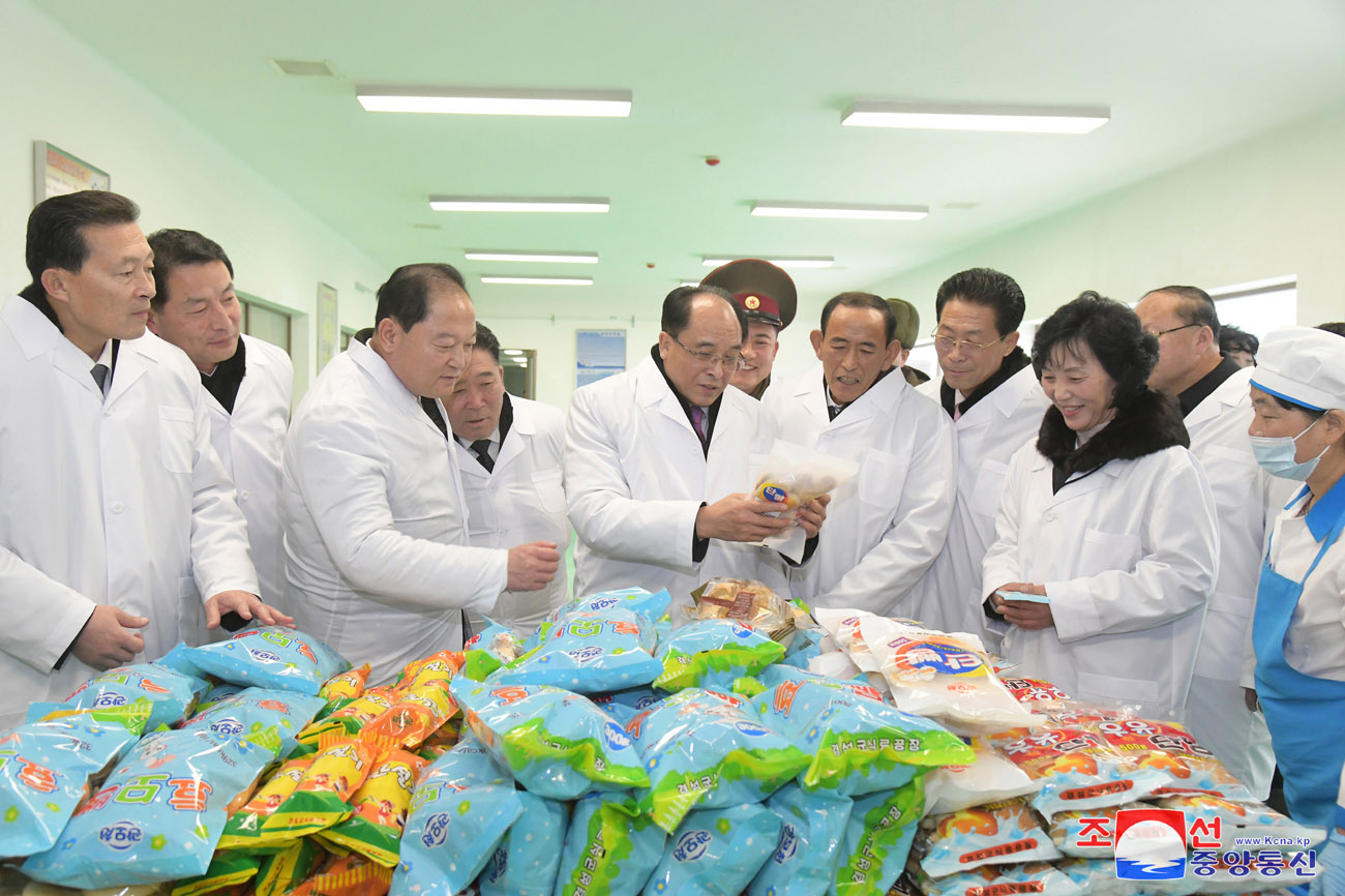 Regional-industry factories inaugurated in Kyongsong County