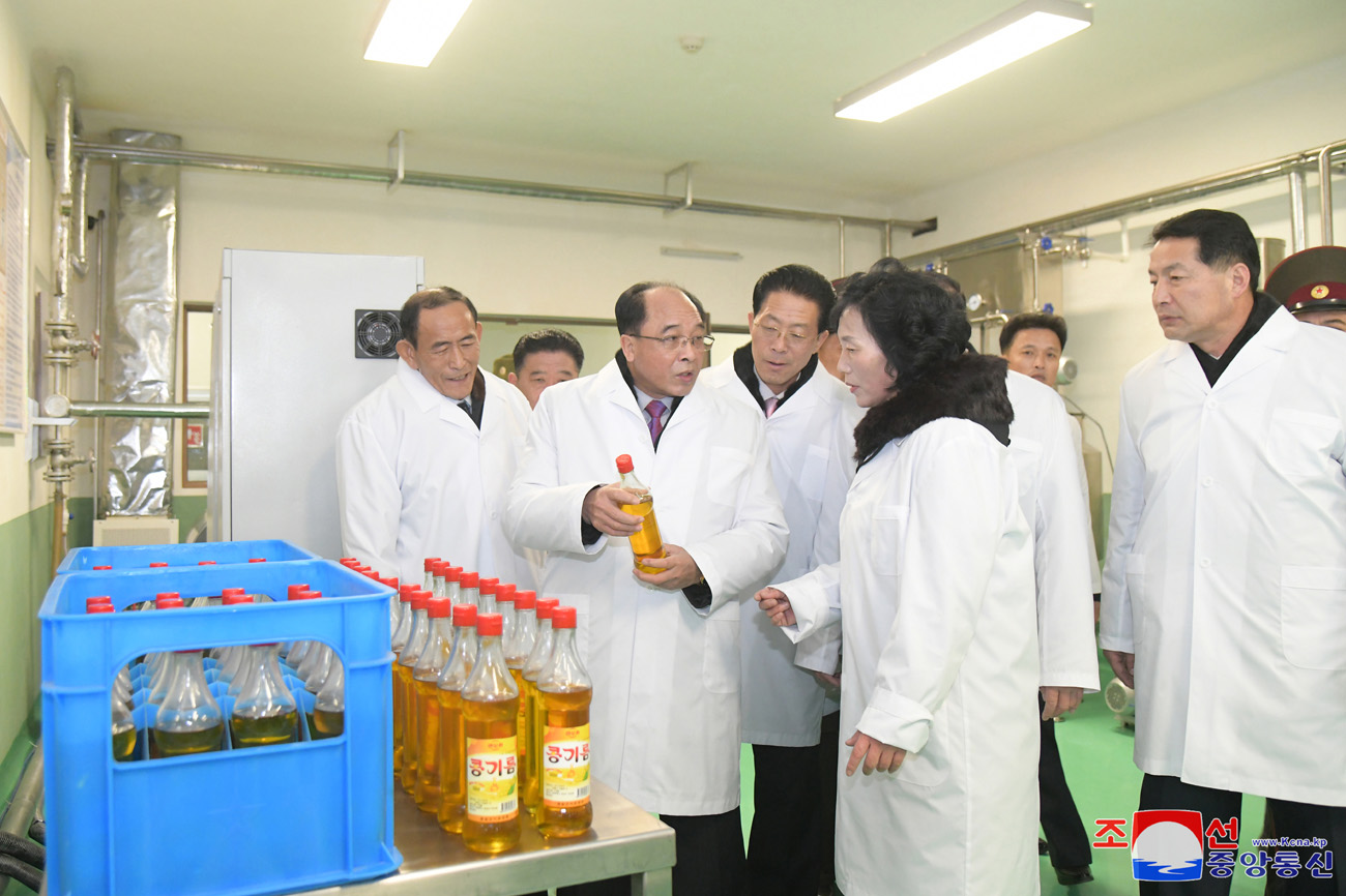 Regional-industry factories inaugurated in Kyongsong County