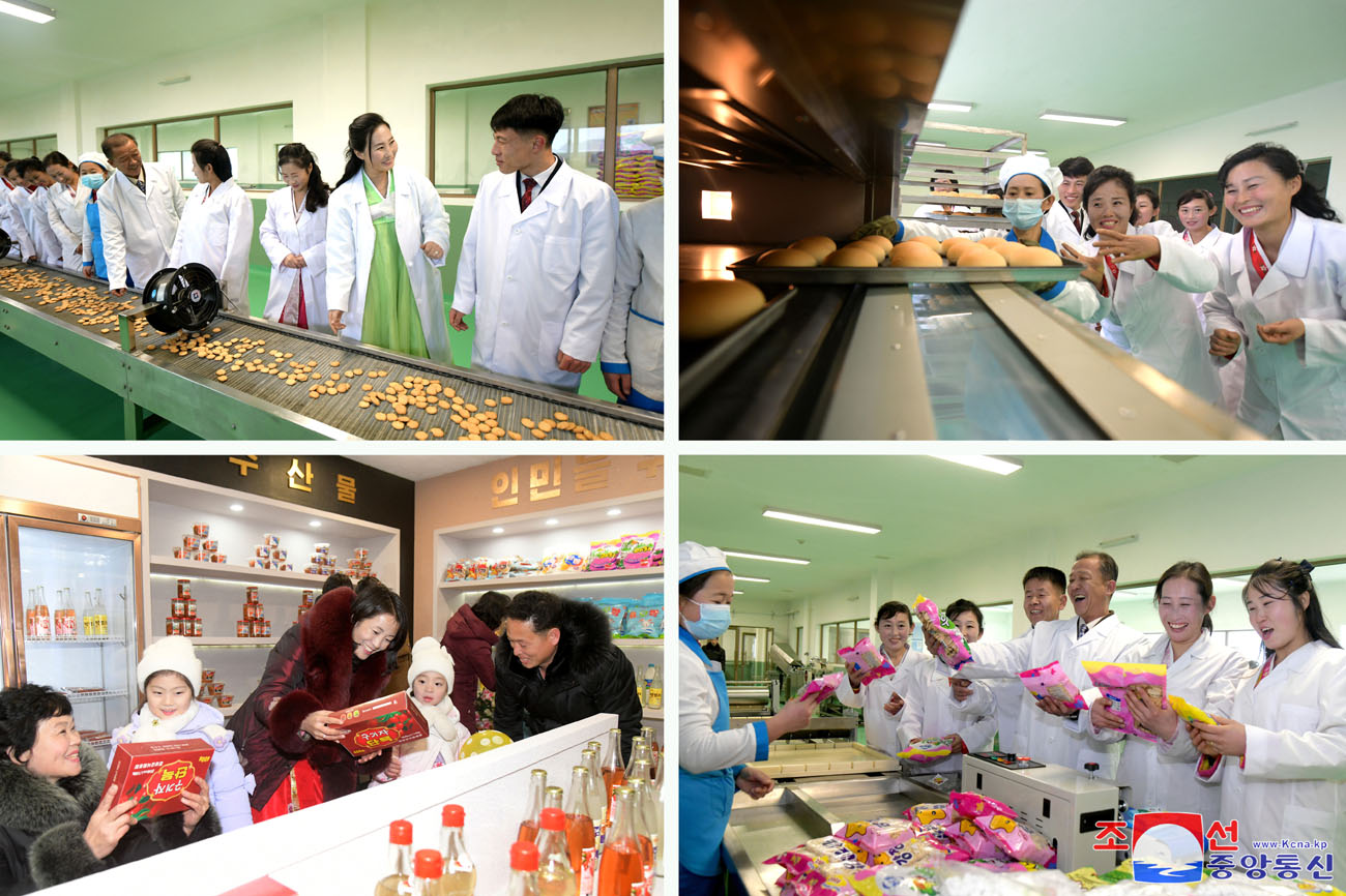 Regional-industry factories inaugurated in Kyongsong County