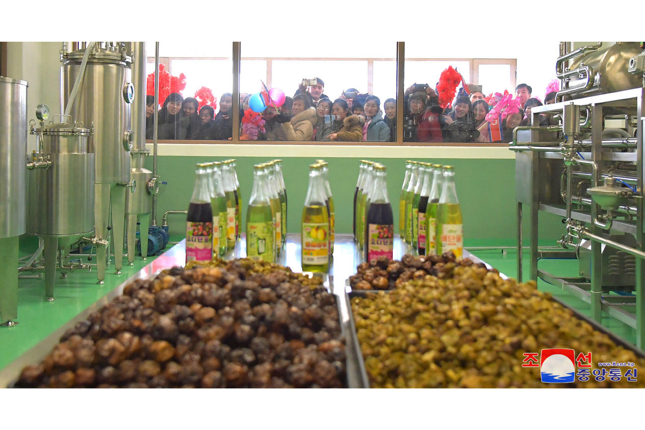 Regional-industry factories inaugurated in Tongsin County