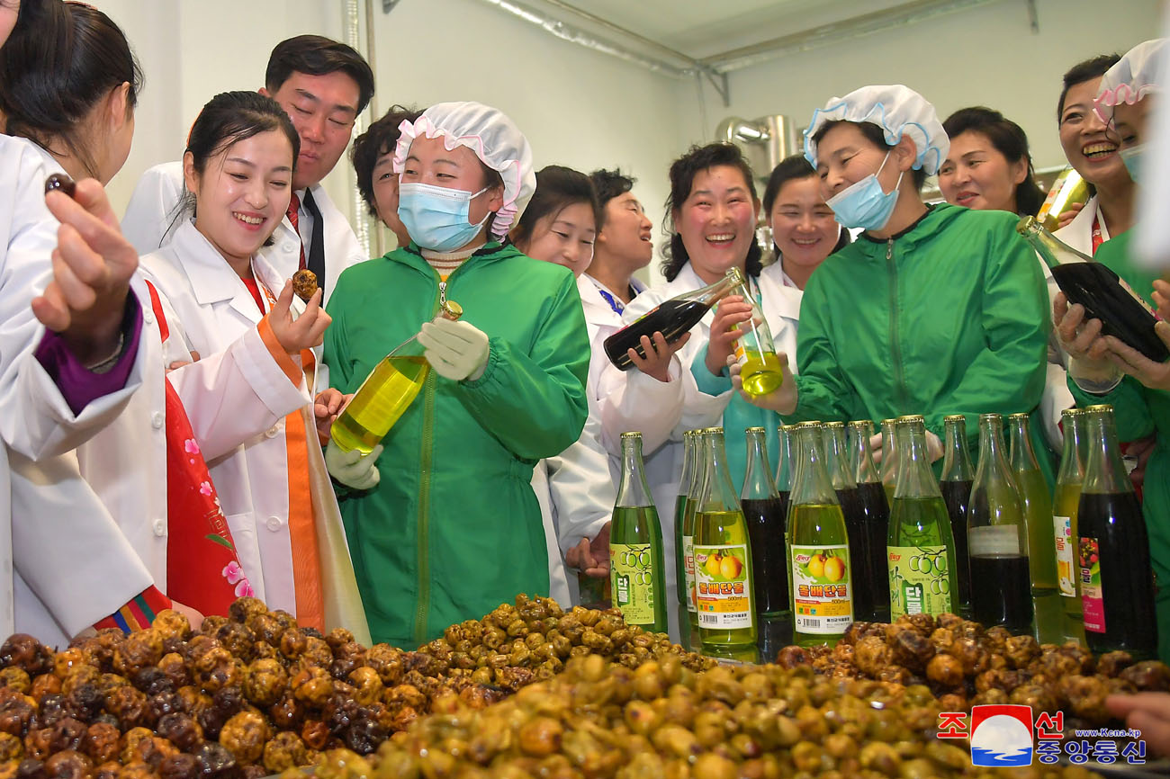 Regional-industry factories inaugurated in Tongsin County