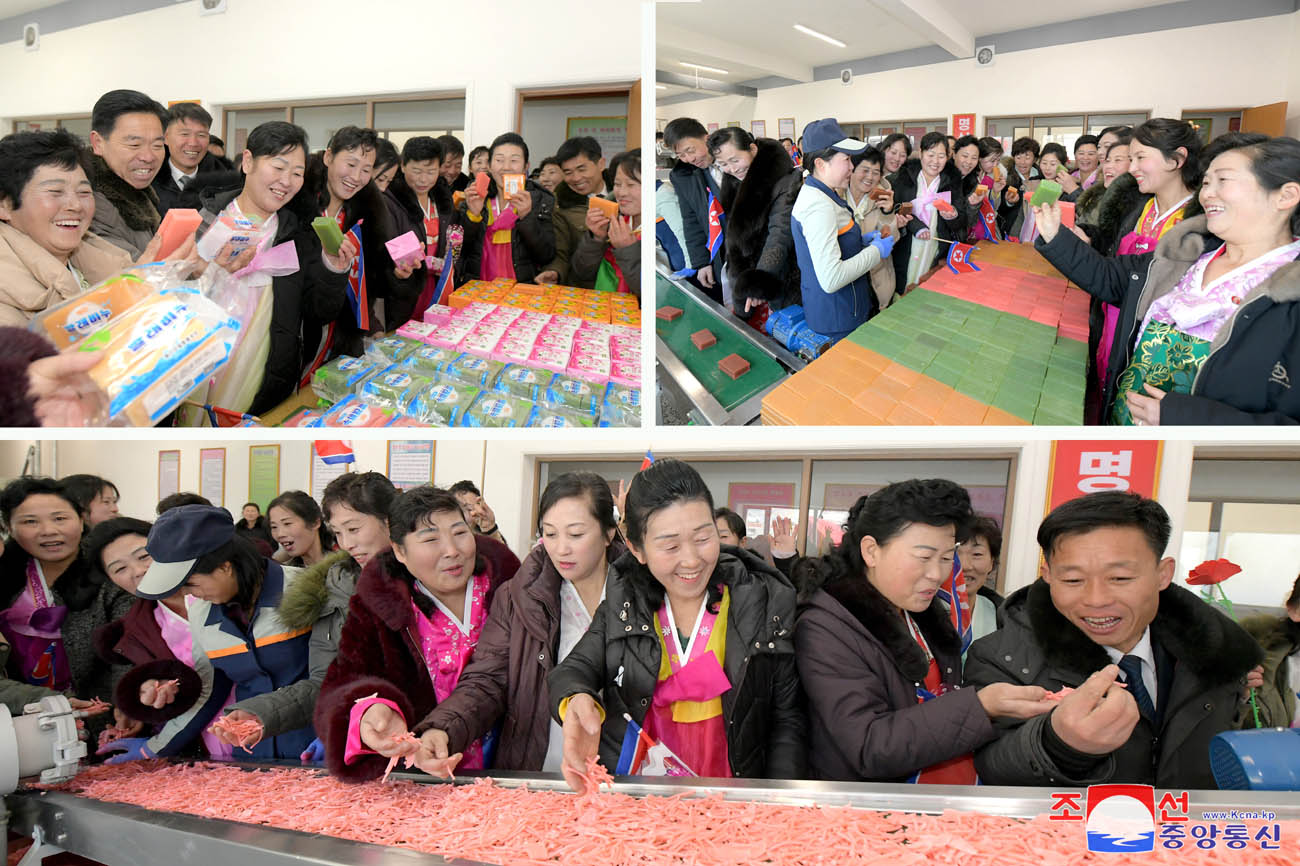 Regional-industry factories inaugurated in Tongsin County