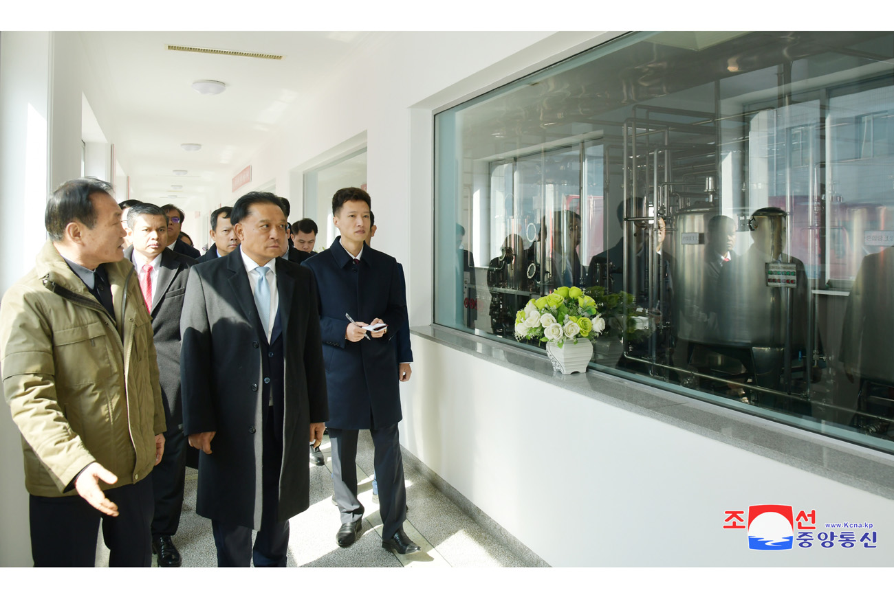 Delegation of Lao FM tours Pyongyang