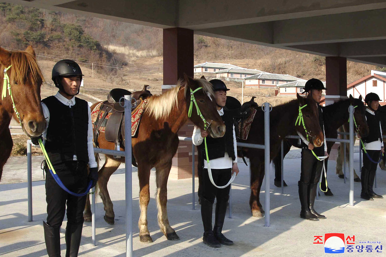 South Phyongan Provincial Riding Club, Phyongsong Instant Noodle Factory and Kaechon Equipment Assembly Station inaugurated