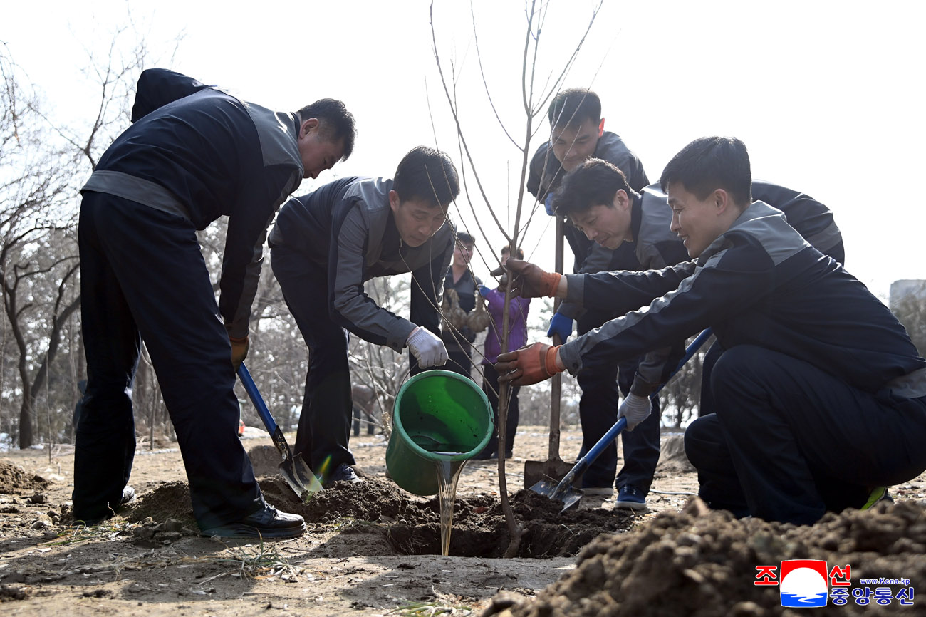 Trees planted on Arbor Day 