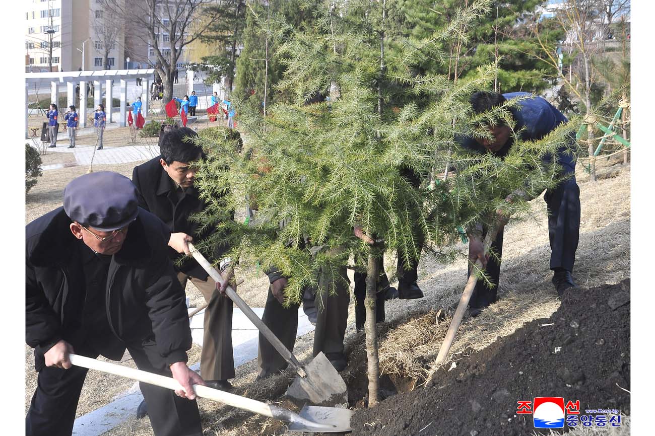 Trees planted on Arbor Day 