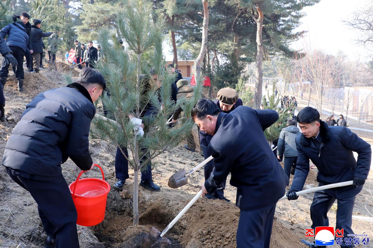 Trees planted on Arbor Day 