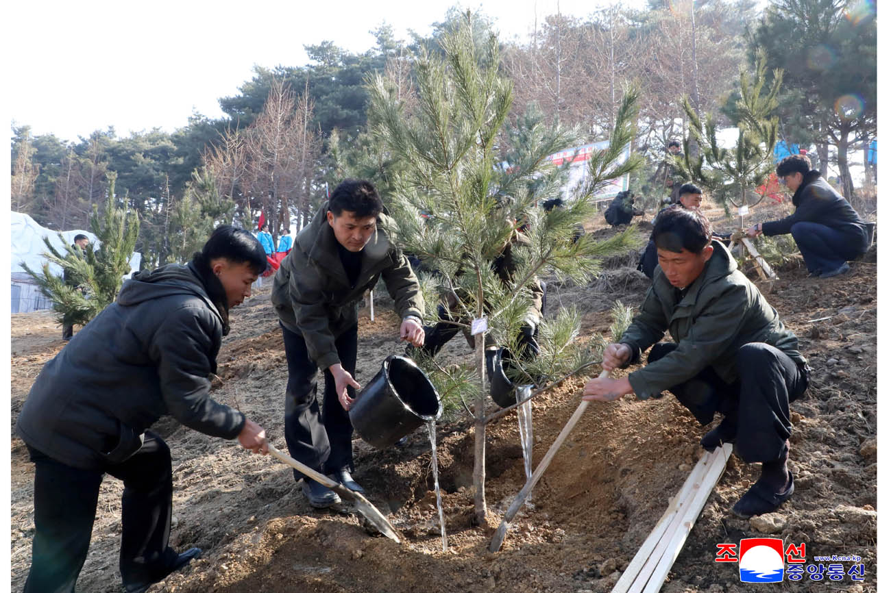 Trees planted on Arbor Day 