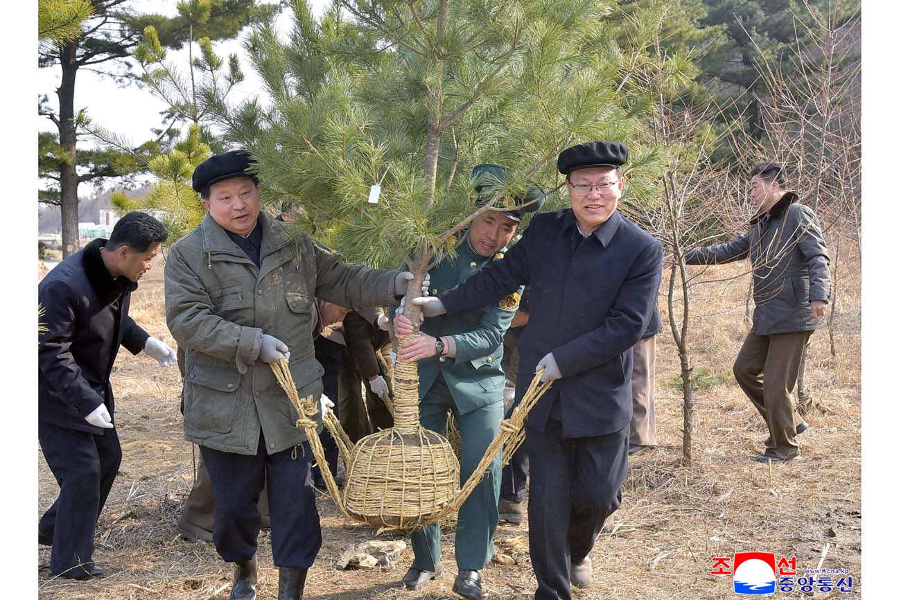 Trees planted on Arbor Day 