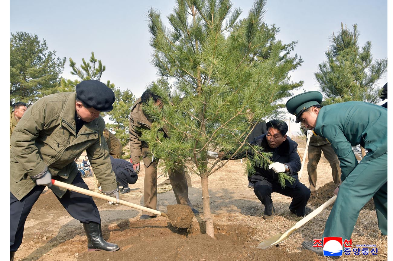 Trees planted on Arbor Day 