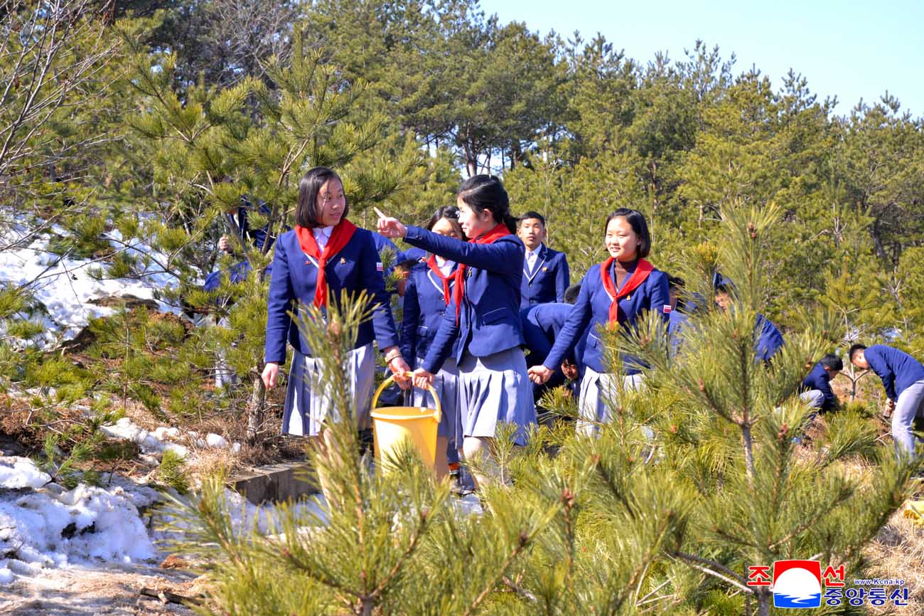 Trees planted on Arbor Day 