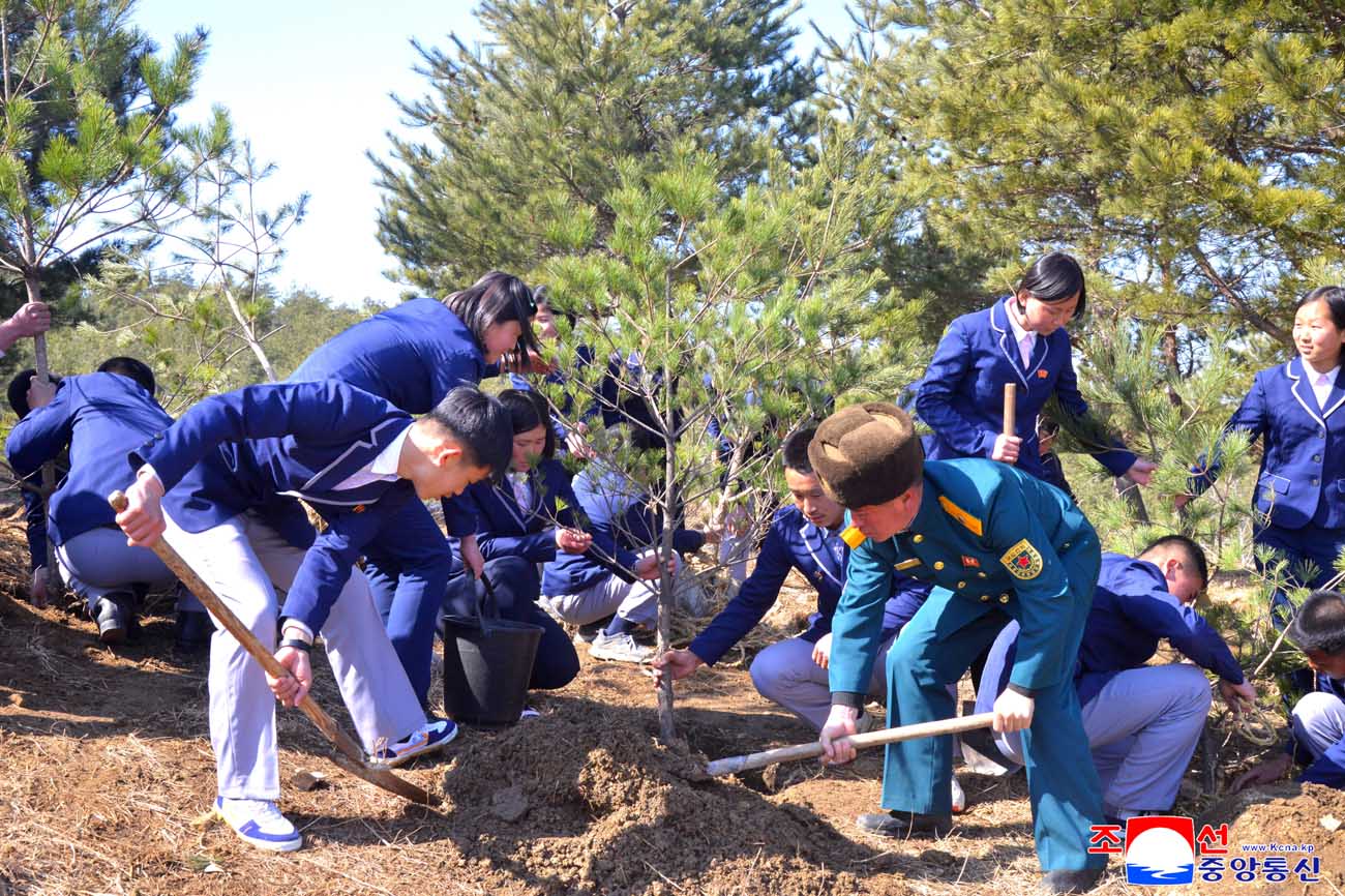 Trees planted on Arbor Day 