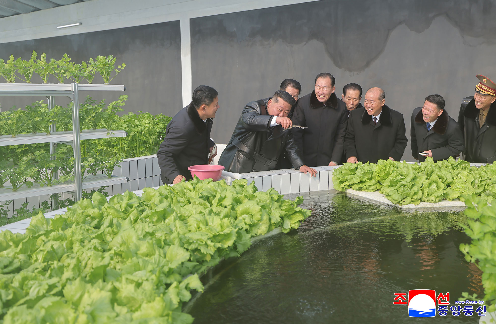 新义州温室综合农场竣工典礼隆重举行