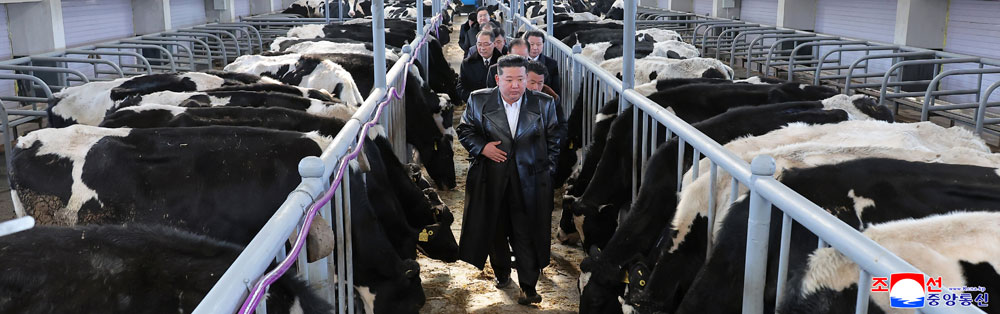 新时代社会主义农村建设和畜牧业发展的新样板、三光畜牧农场竣工典礼举行