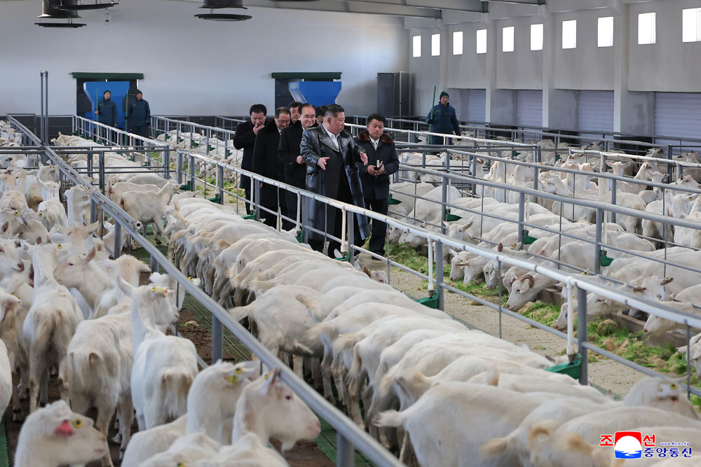 新时代社会主义农村建设和畜牧业发展的新样板、三光畜牧农场竣工典礼举行