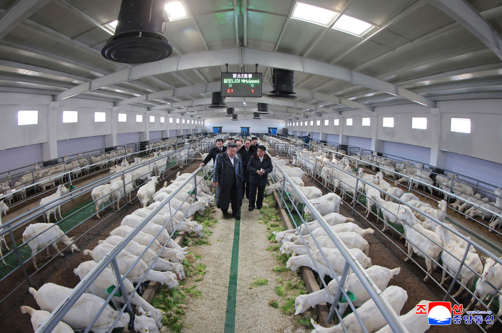 新时代社会主义农村建设和畜牧业发展的新样板、三光畜牧农场竣工典礼举行