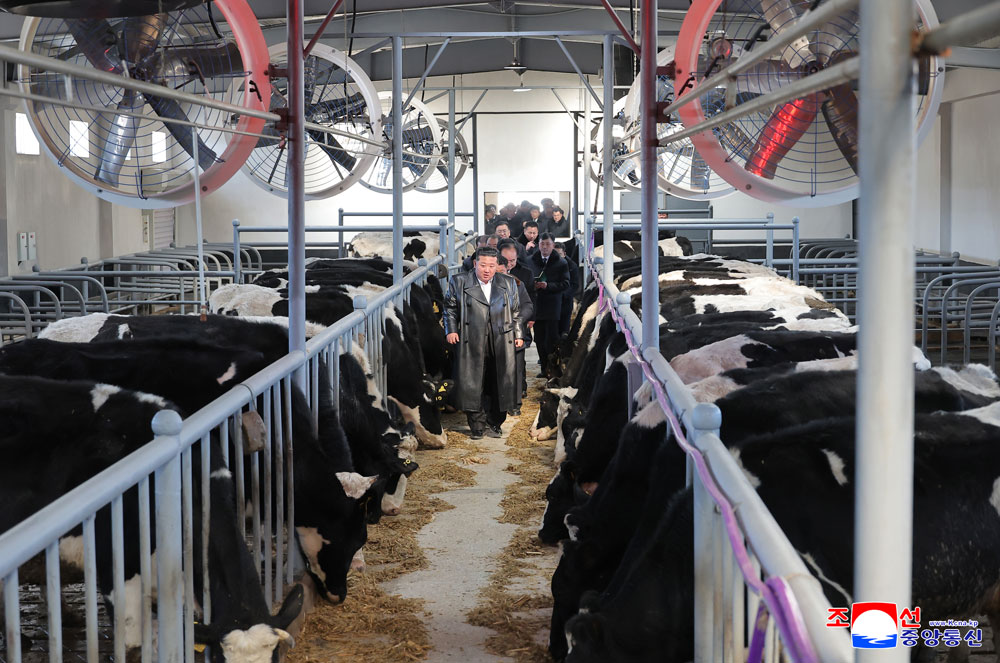 新时代社会主义农村建设和畜牧业发展的新样板、三光畜牧农场竣工典礼举行