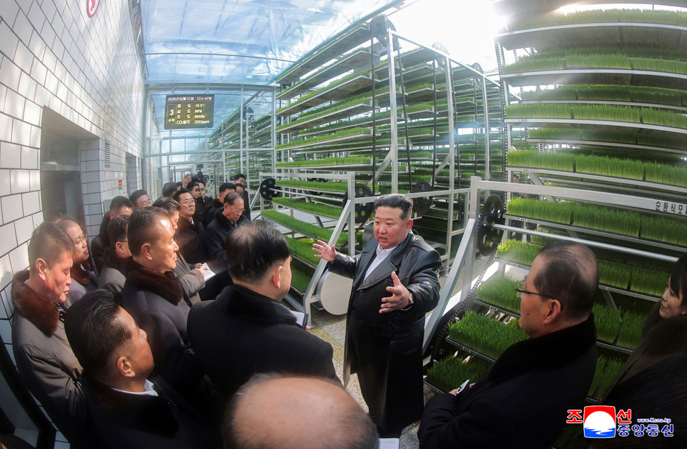 新时代社会主义农村建设和畜牧业发展的新样板、三光畜牧农场竣工典礼举行