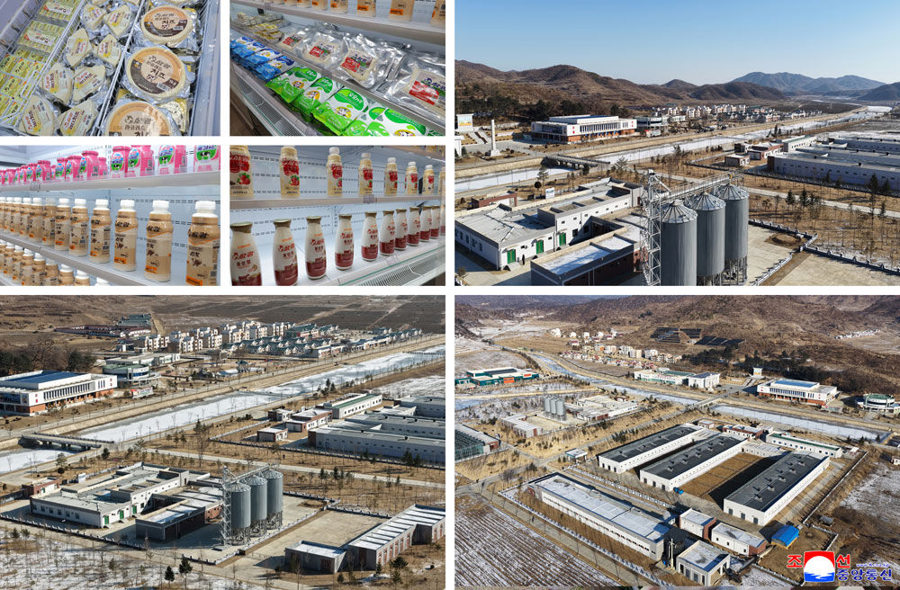 新时代社会主义农村建设和畜牧业发展的新样板、三光畜牧农场竣工典礼举行