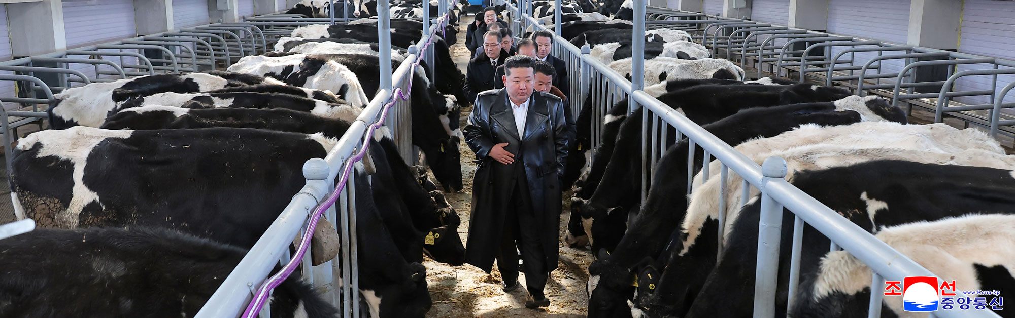 新时代社会主义农村建设和畜牧业发展的新样板、三光畜牧农场竣工典礼举行