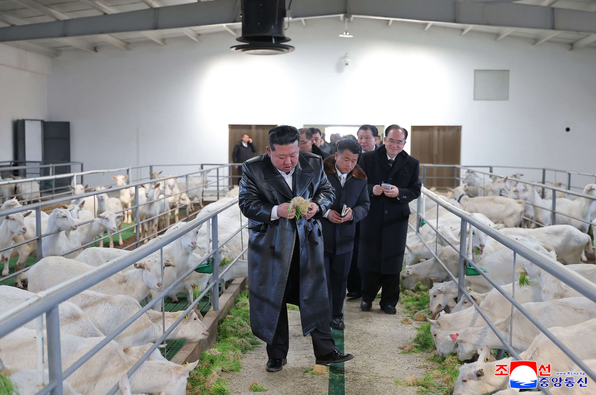 新时代社会主义农村建设和畜牧业发展的新样板、三光畜牧农场竣工典礼举行