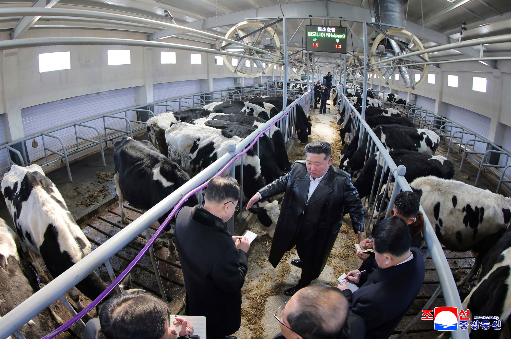 新时代社会主义农村建设和畜牧业发展的新样板、三光畜牧农场竣工典礼举行