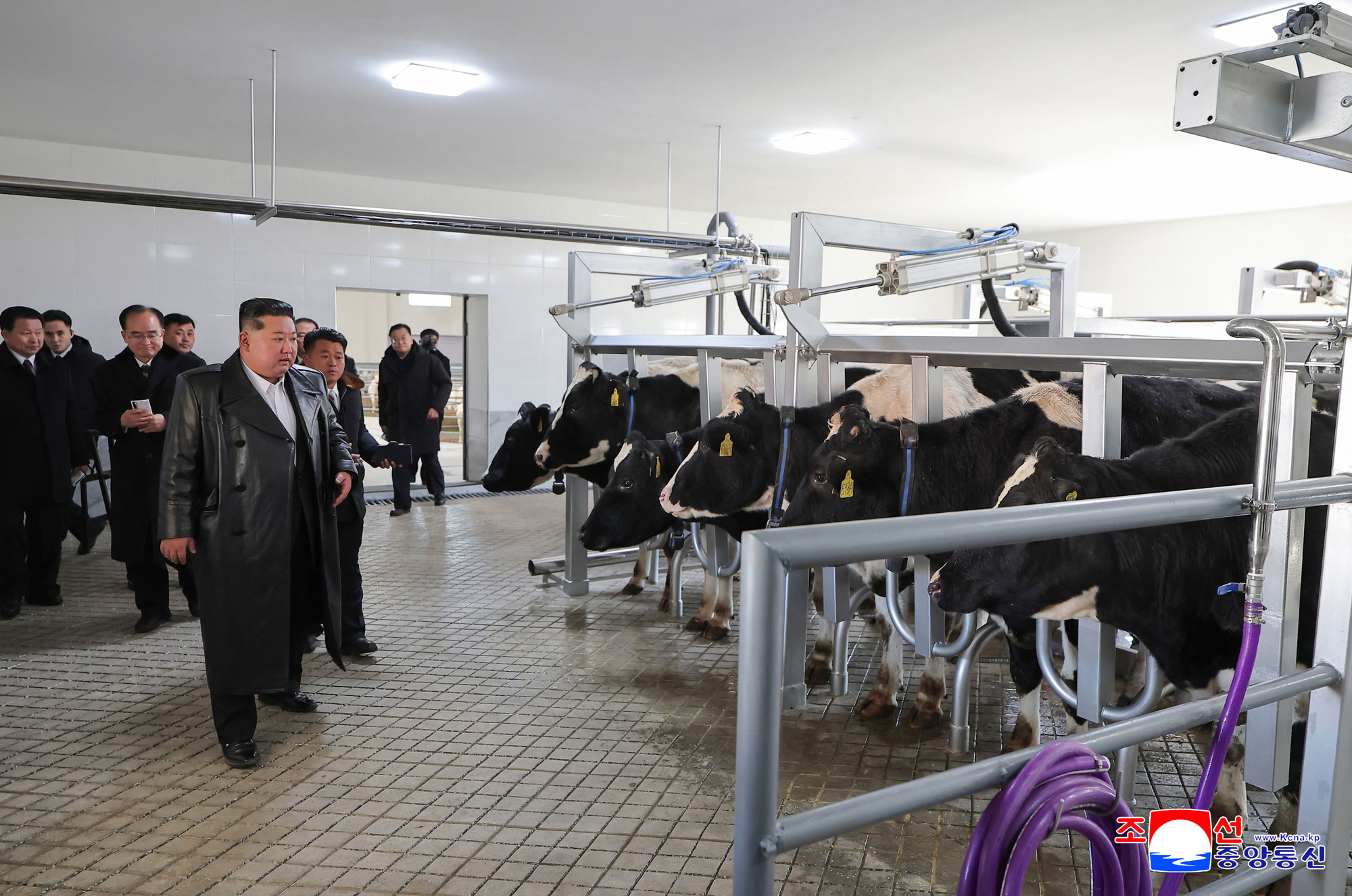 新时代社会主义农村建设和畜牧业发展的新样板、三光畜牧农场竣工典礼举行