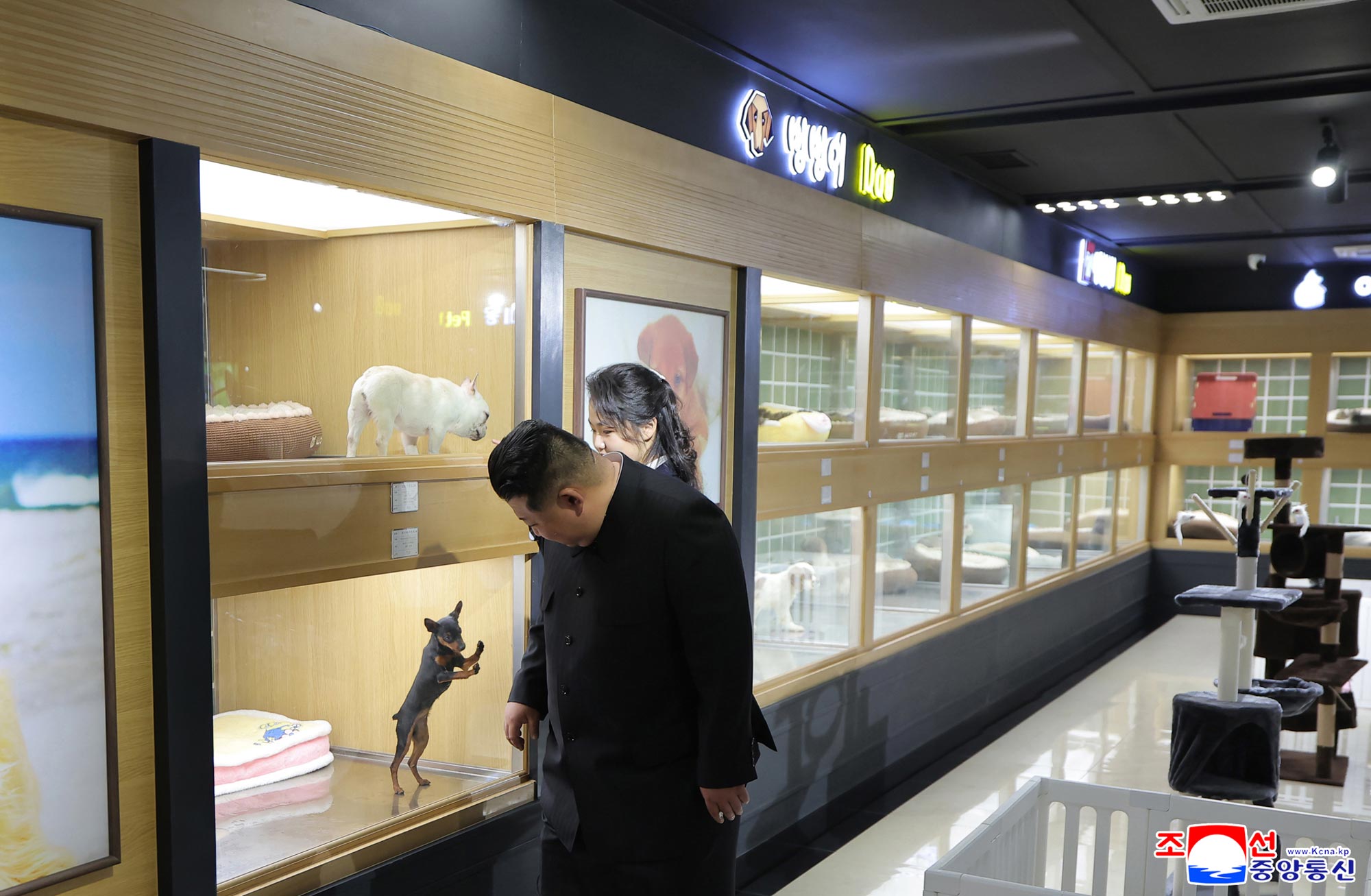 Уважаемый товарищ Ким Чен Ын осмотрел ряд сервисных учреждений на 4 участке Хвасона в преддверии их открытия