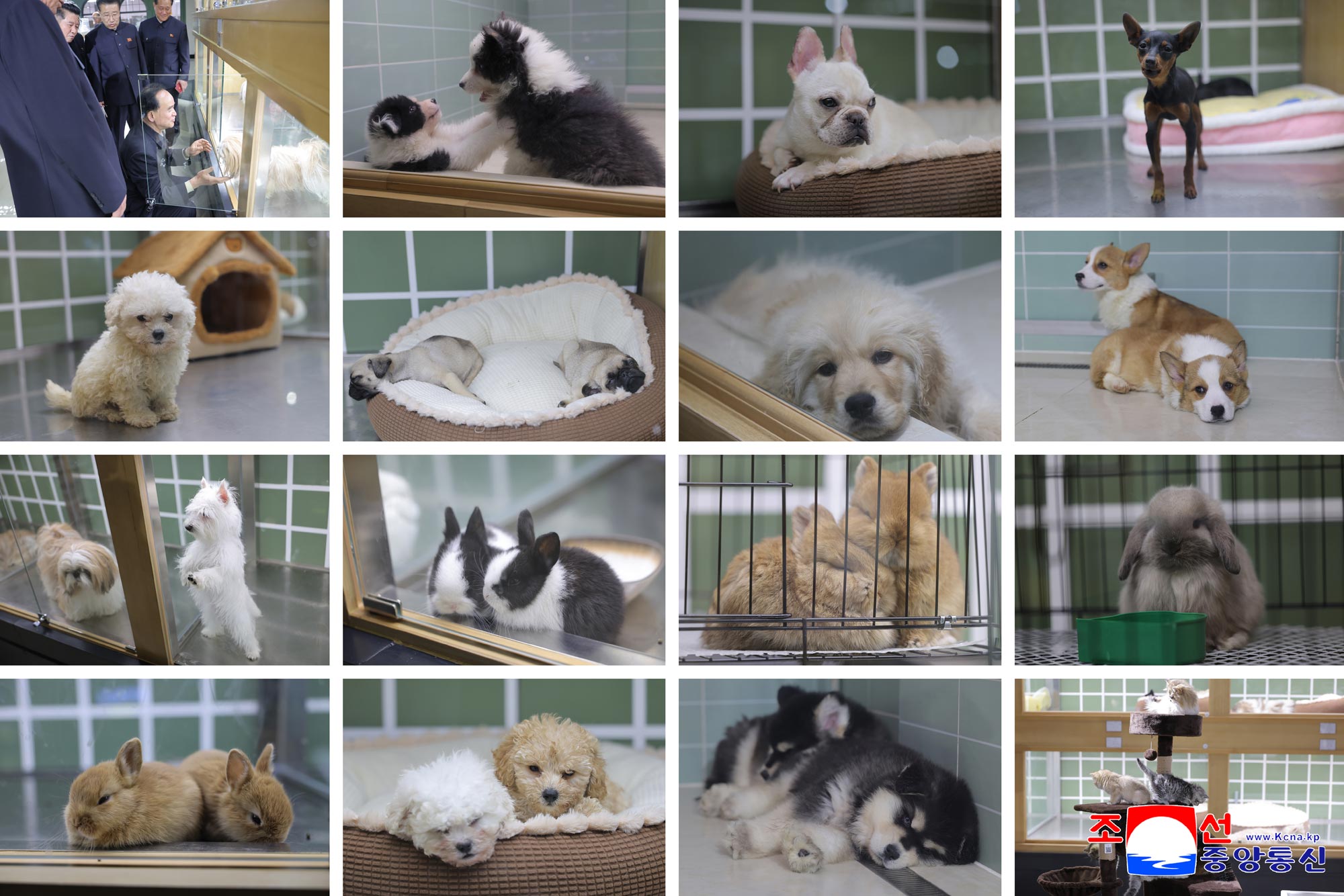 Уважаемый товарищ Ким Чен Ын осмотрел ряд сервисных учреждений на 4 участке Хвасона в преддверии их открытия